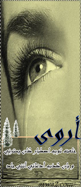 الصورة الرمزية اروى